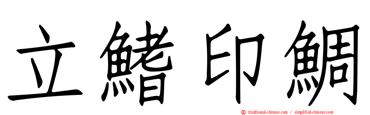 立鰭印鯛