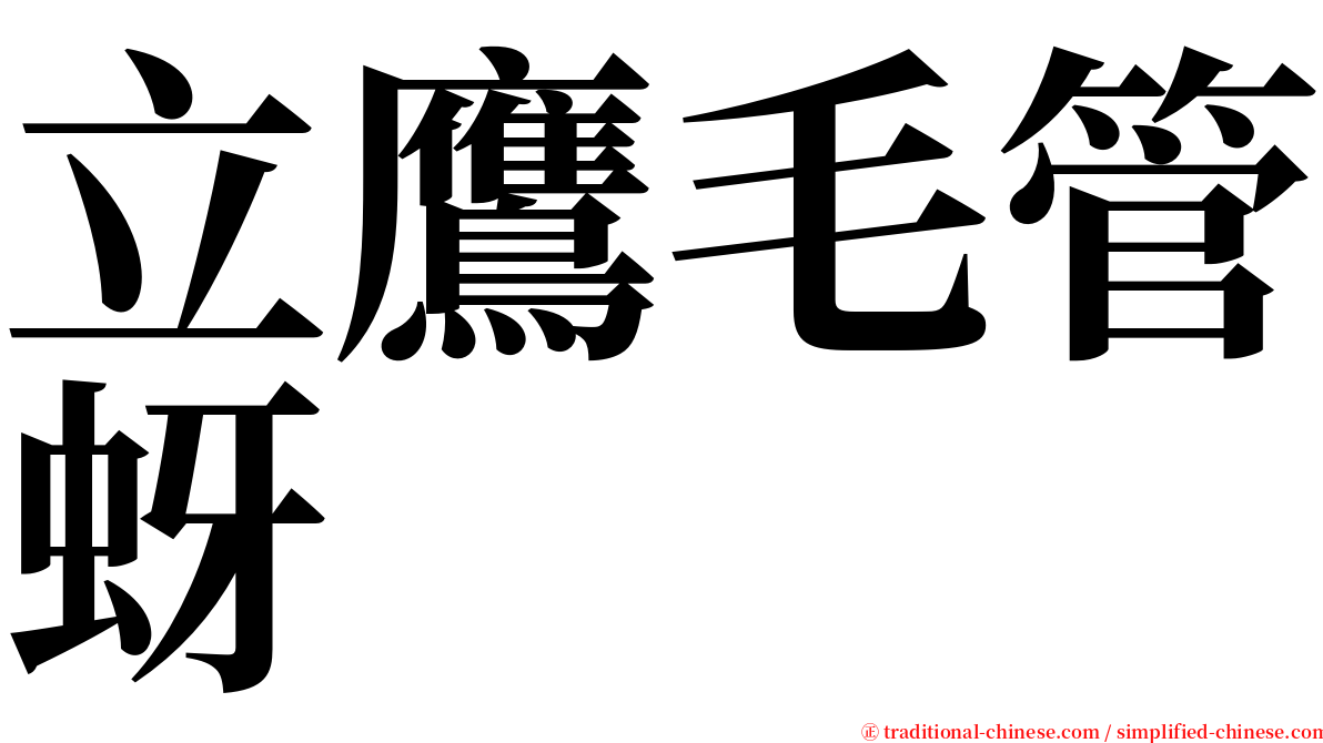 立鷹毛管蚜 serif font
