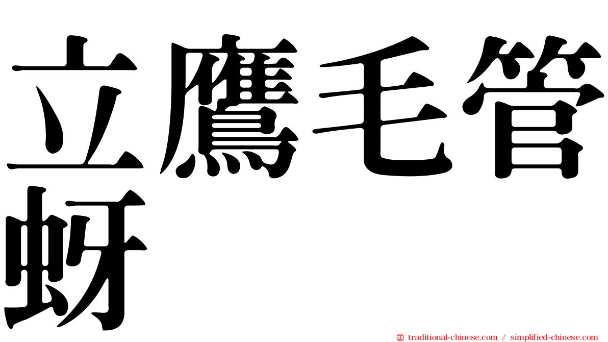 立鷹毛管蚜