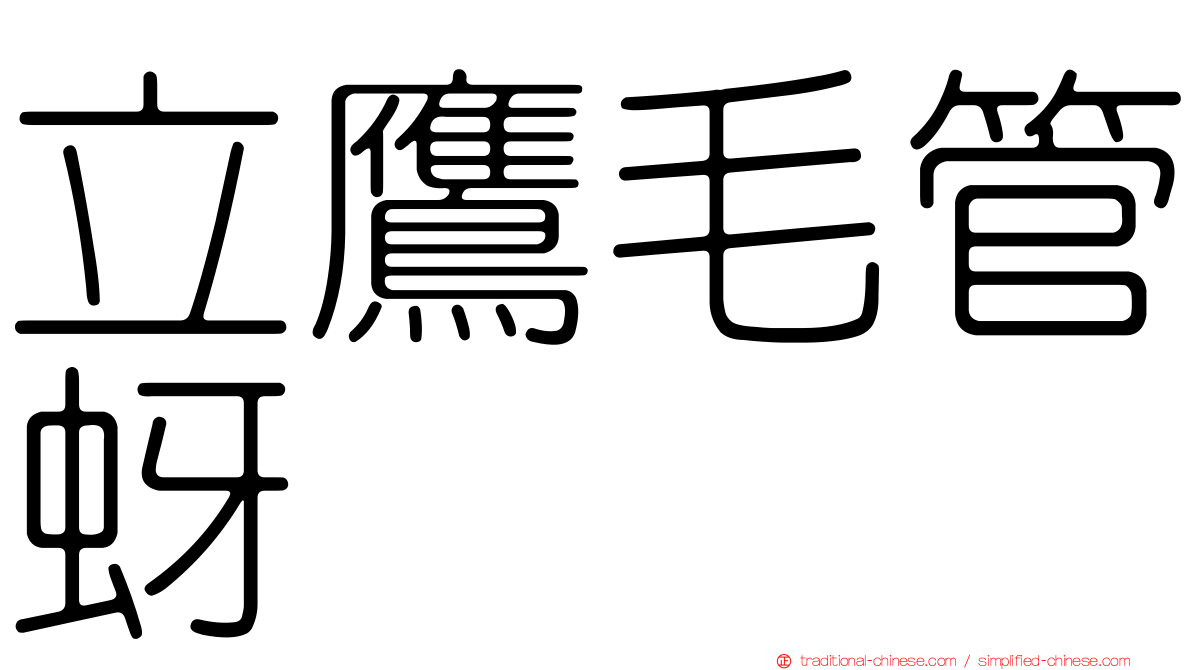 立鷹毛管蚜