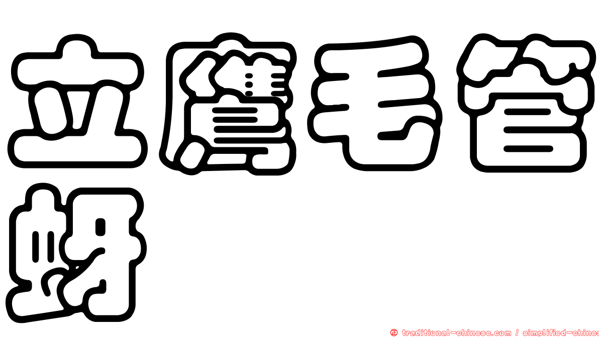 立鷹毛管蚜