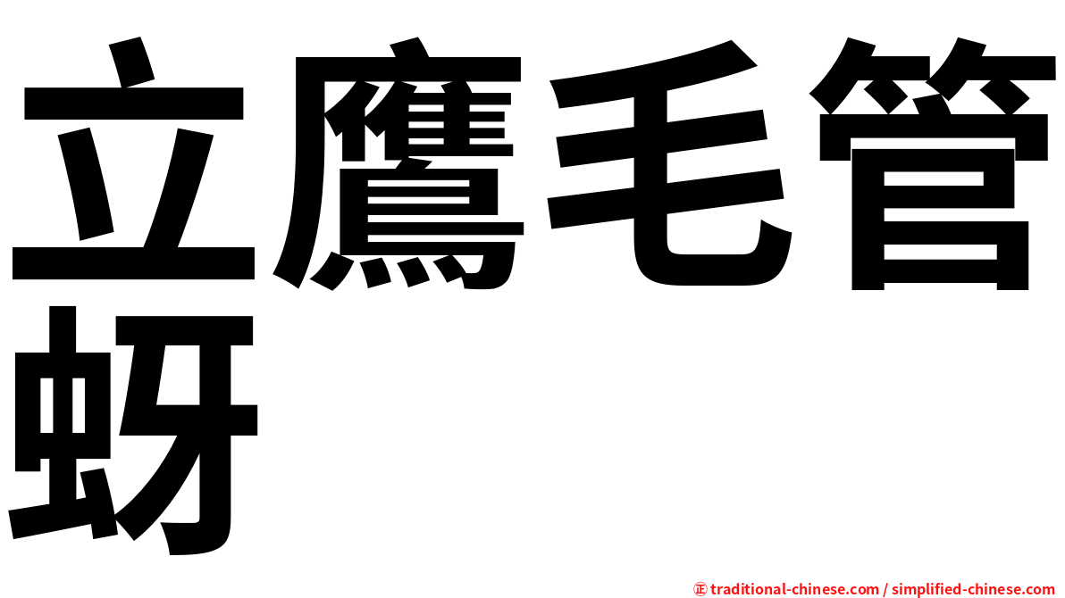 立鷹毛管蚜
