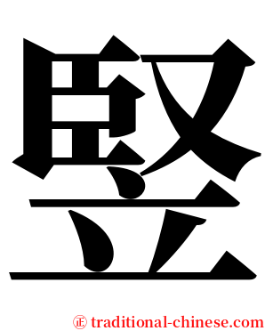 竪 serif font