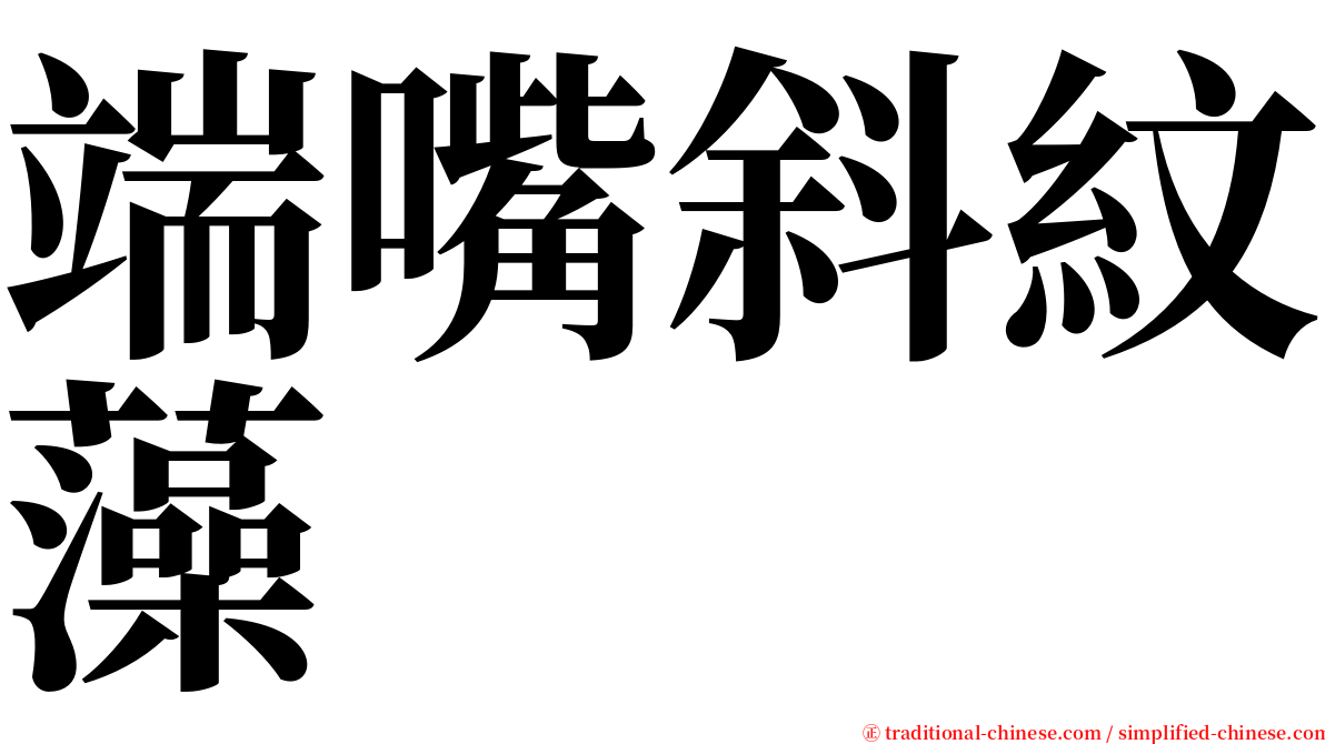 端嘴斜紋藻 serif font