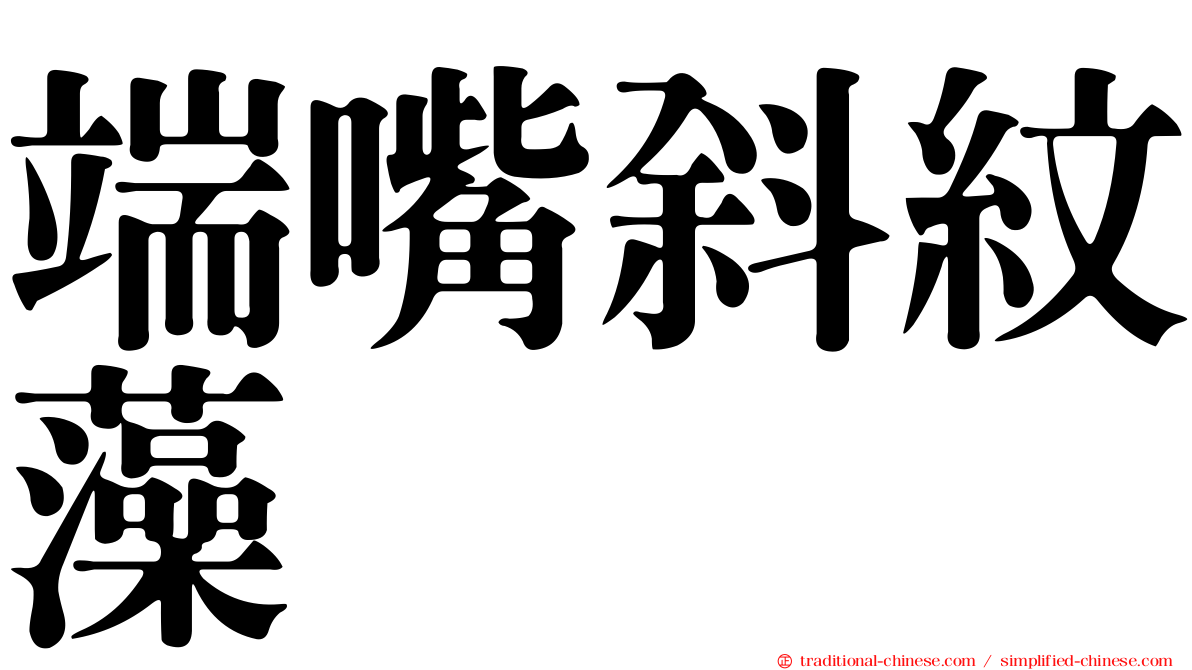 端嘴斜紋藻