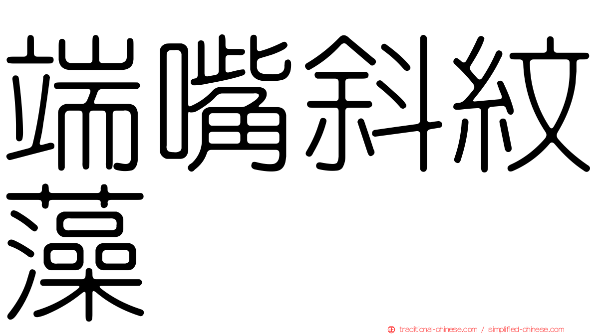 端嘴斜紋藻