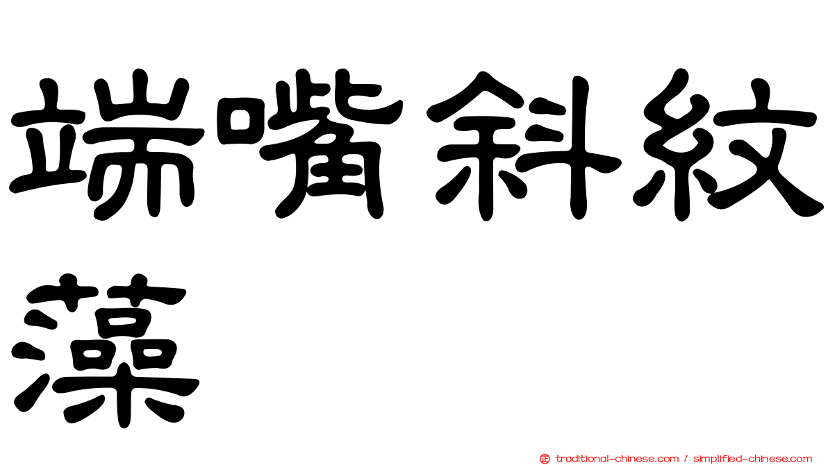 端嘴斜紋藻