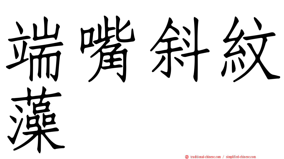 端嘴斜紋藻