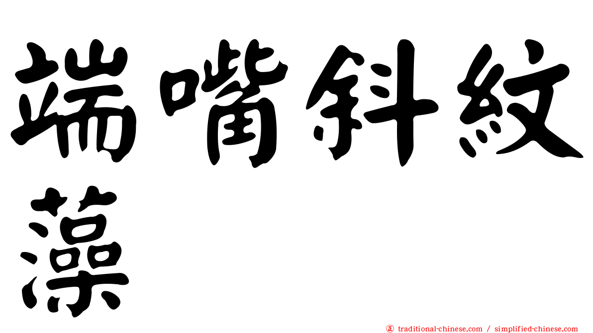 端嘴斜紋藻