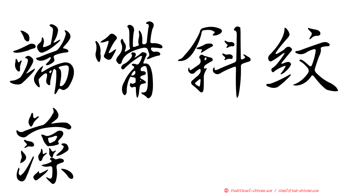 端嘴斜紋藻