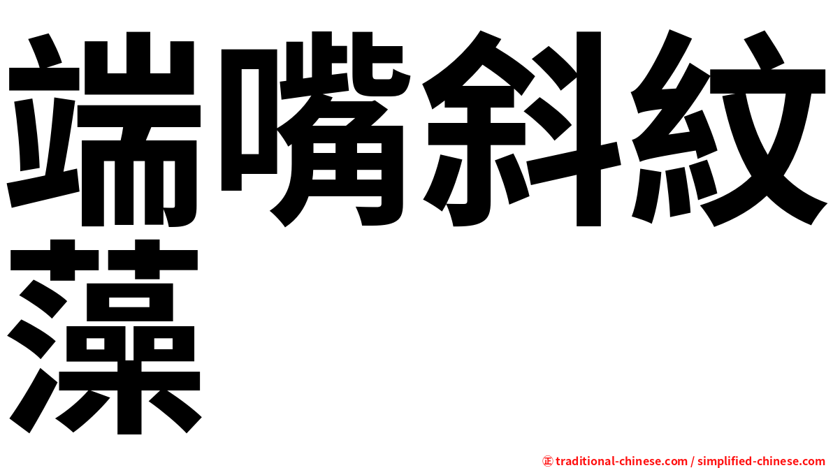 端嘴斜紋藻
