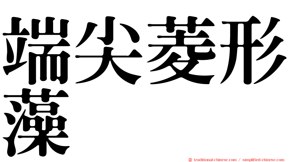 端尖菱形藻