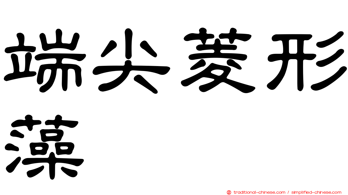 端尖菱形藻