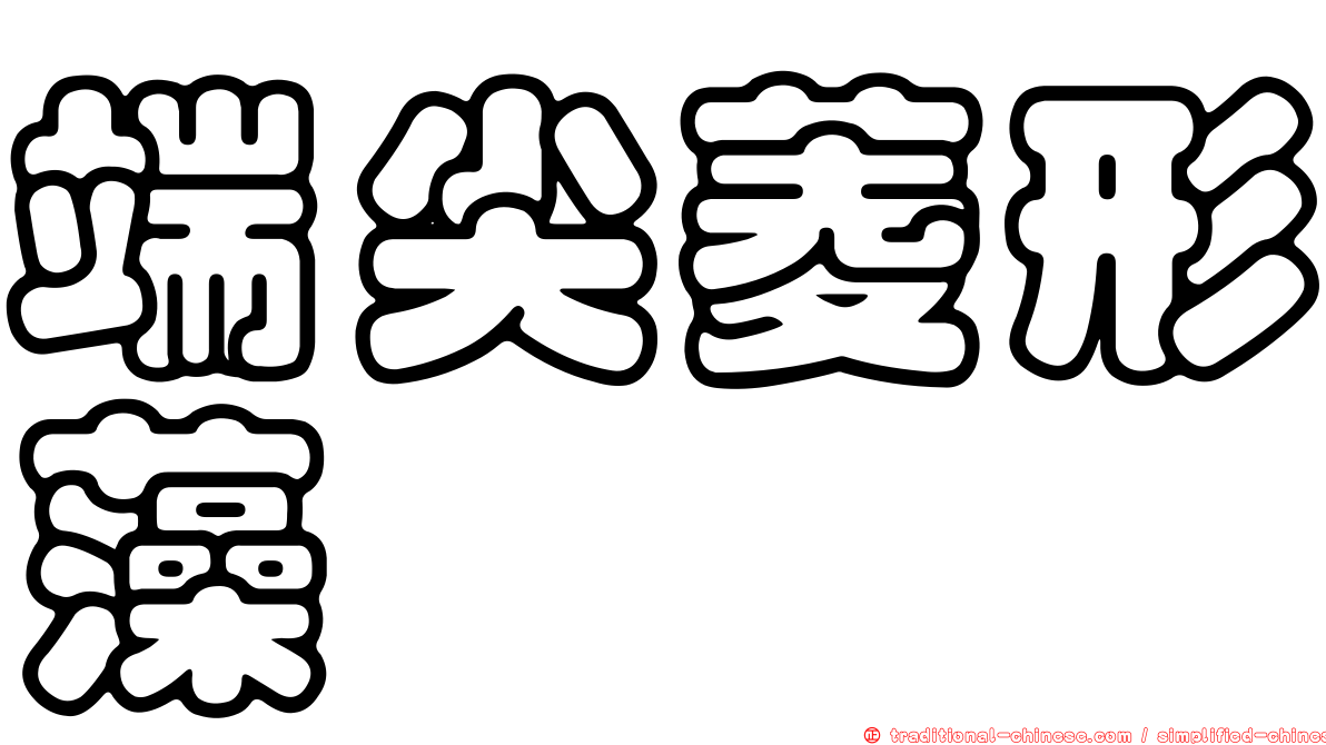端尖菱形藻
