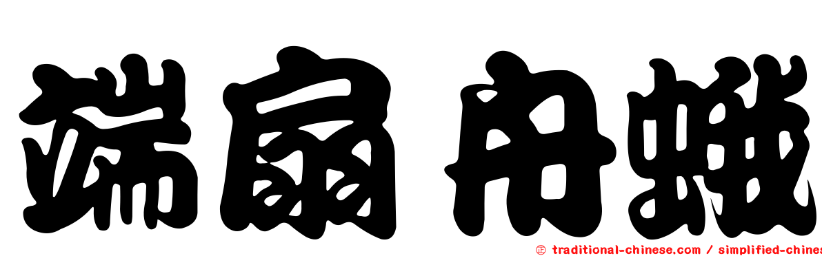 端扇舟蛾