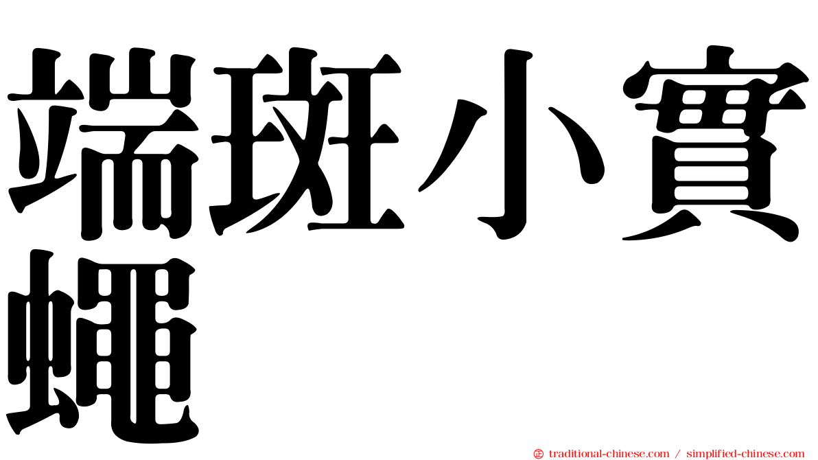 端斑小實蠅