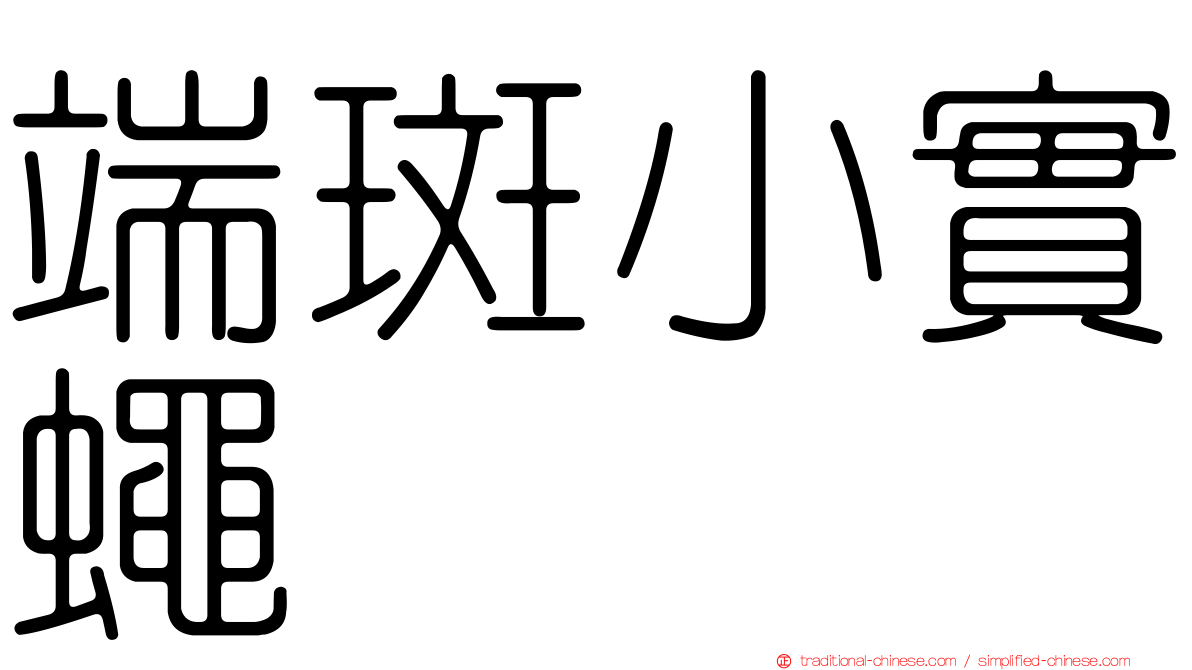 端斑小實蠅
