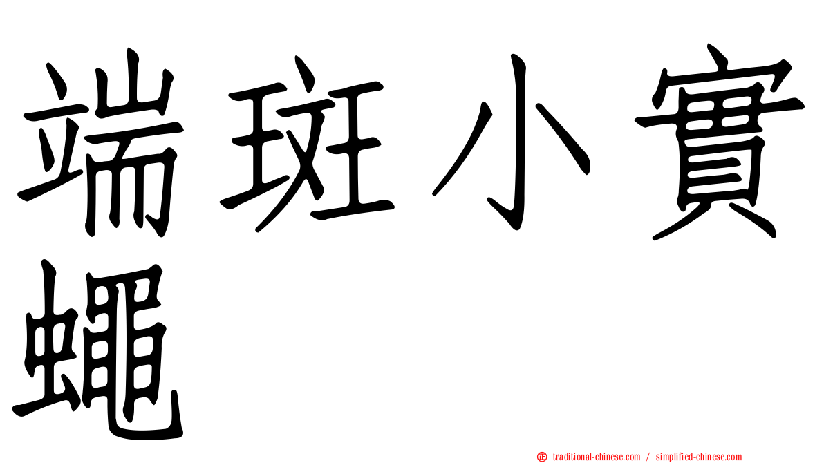 端斑小實蠅