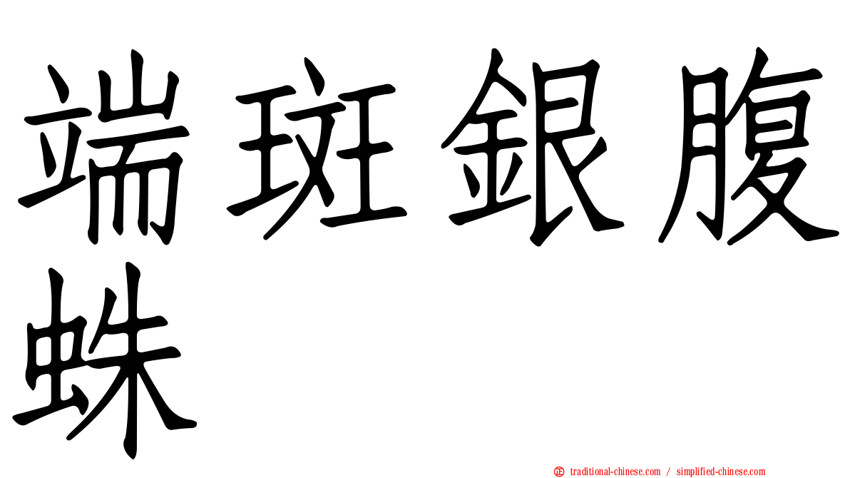 端斑銀腹蛛