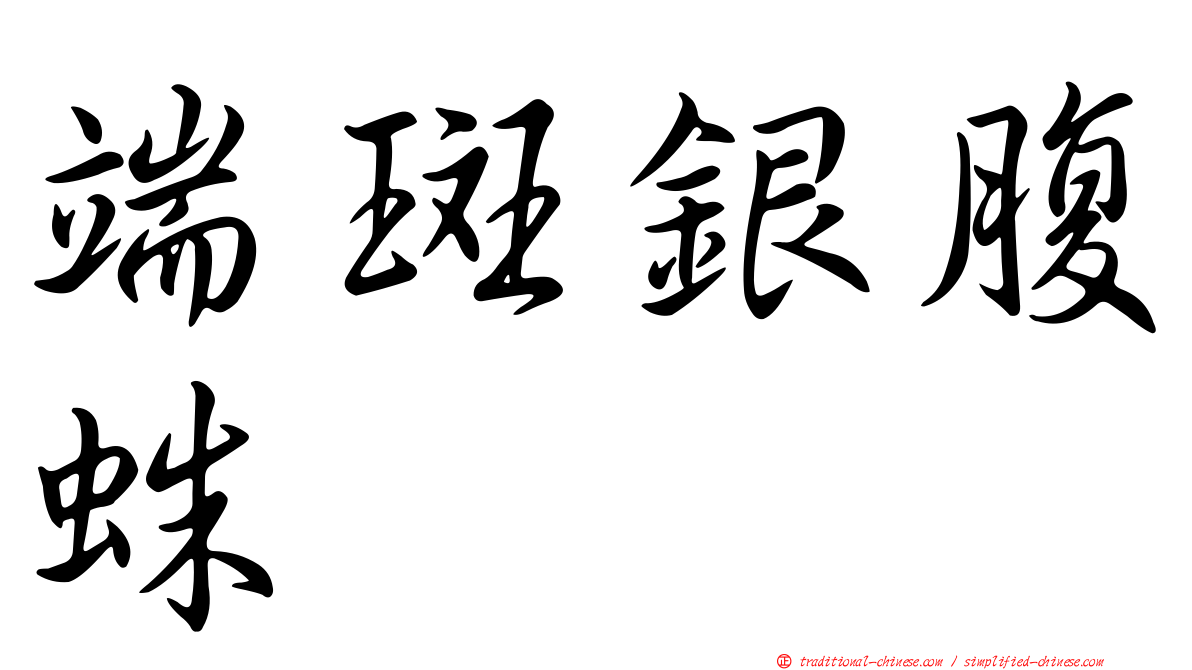 端斑銀腹蛛
