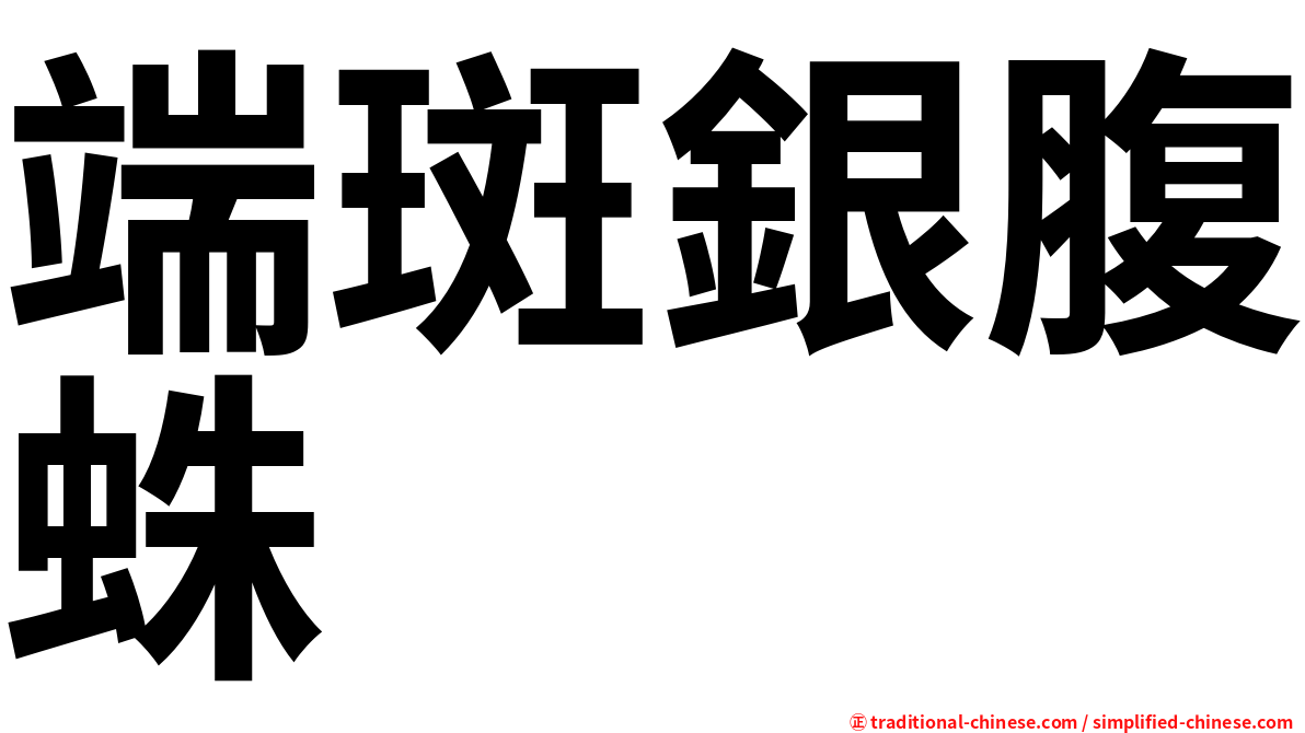 端斑銀腹蛛