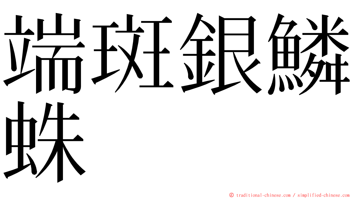 端斑銀鱗蛛 ming font