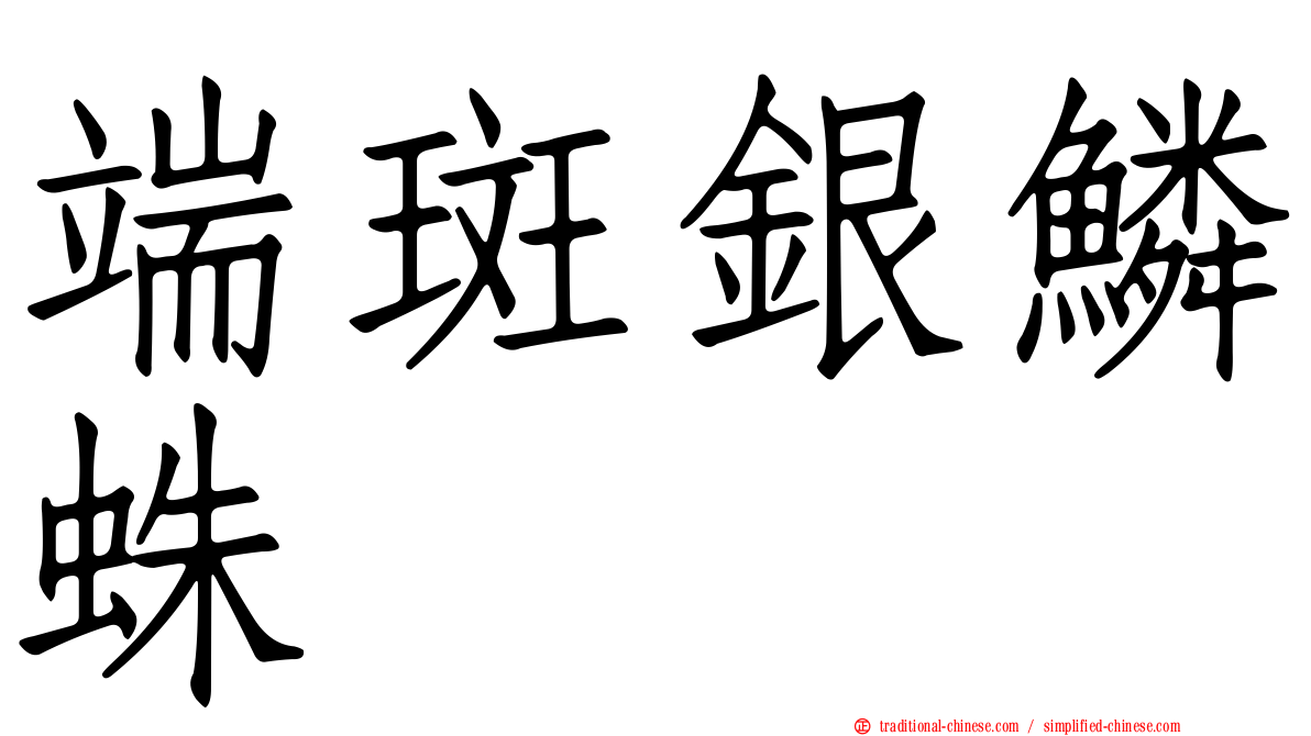 端斑銀鱗蛛