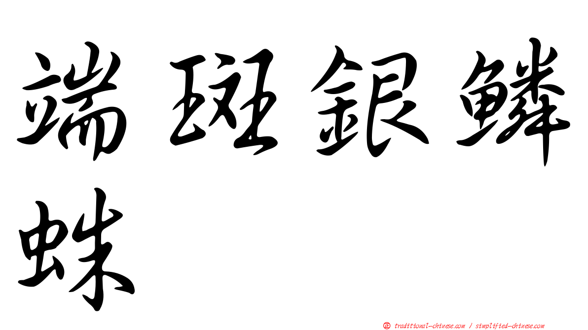 端斑銀鱗蛛