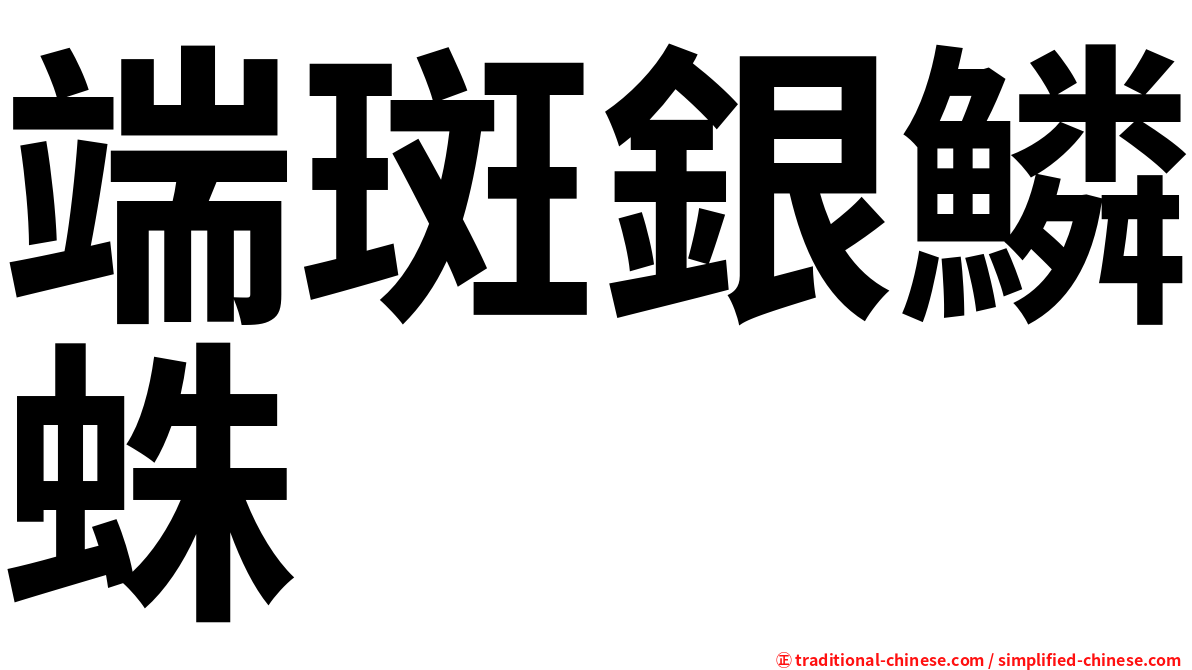 端斑銀鱗蛛