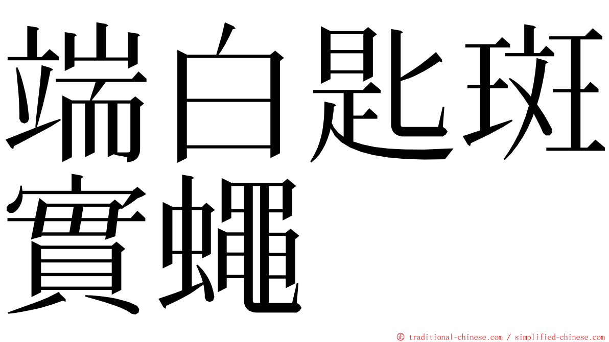 端白匙斑實蠅 ming font