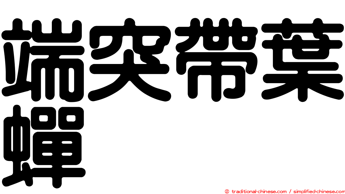 端突帶葉蟬