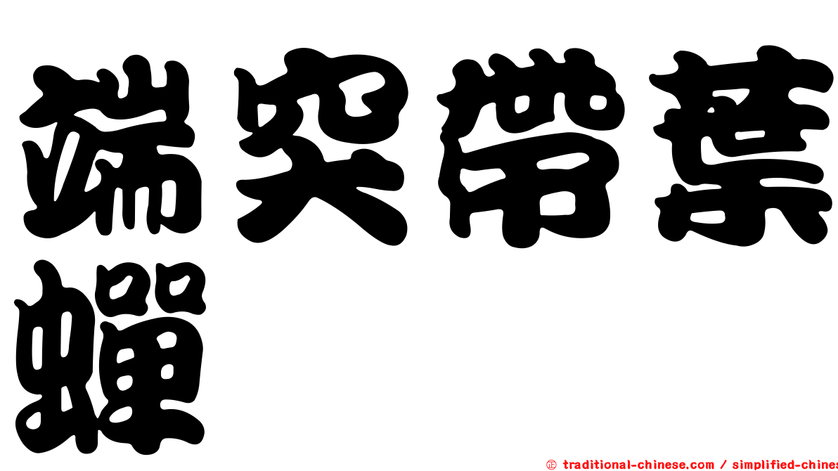 端突帶葉蟬