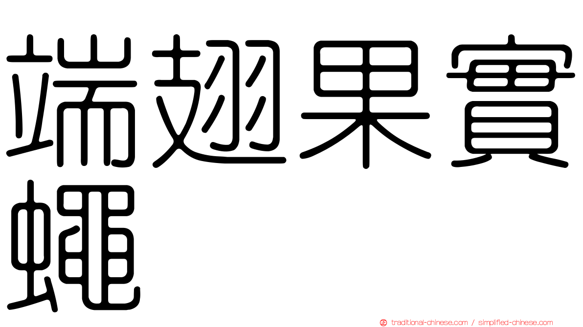 端翅果實蠅