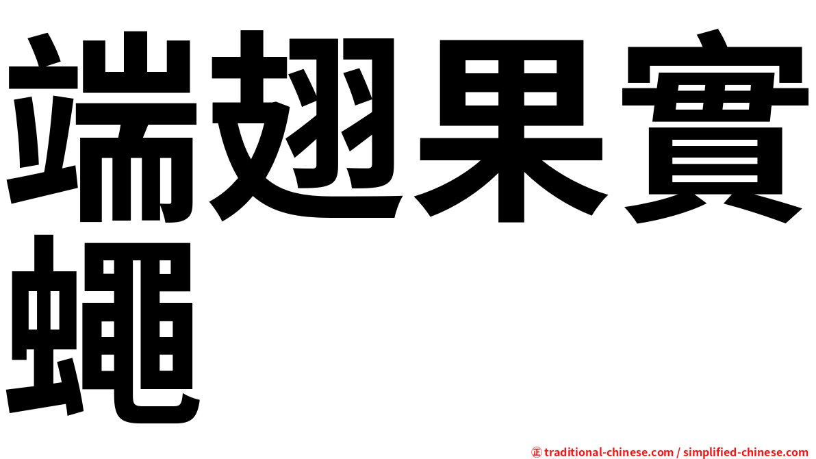 端翅果實蠅