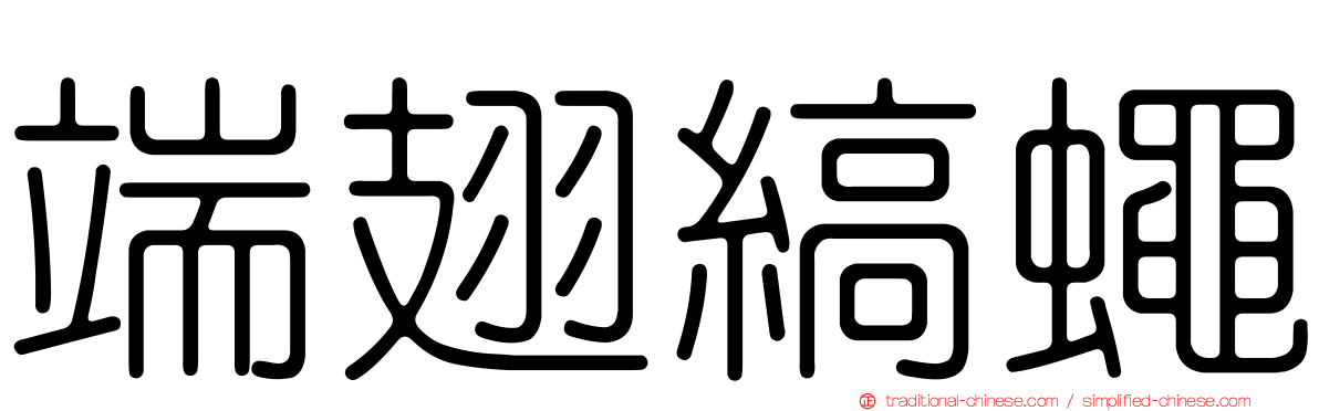 端翅縞蠅