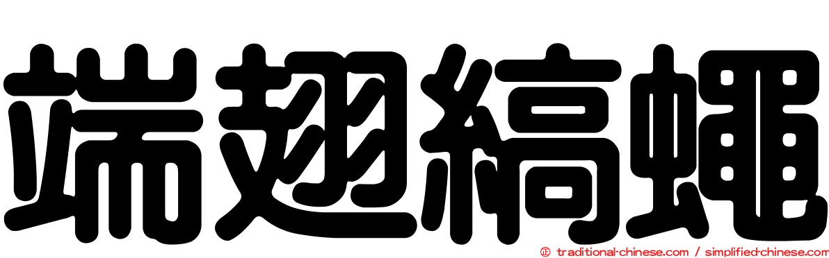 端翅縞蠅