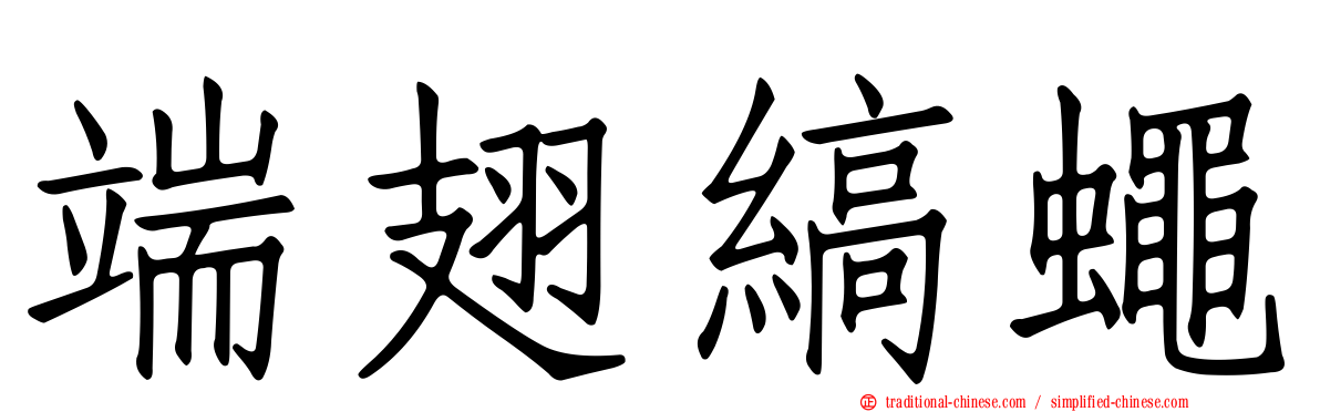 端翅縞蠅
