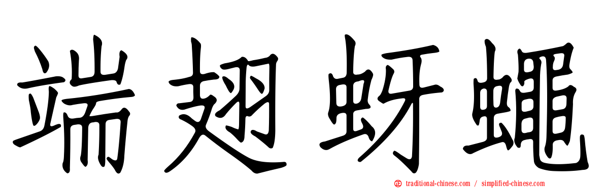 端翅蚜蠅