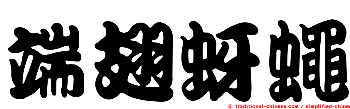 端翅蚜蠅