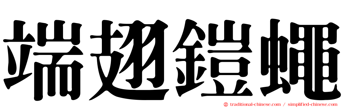 端翅鎧蠅