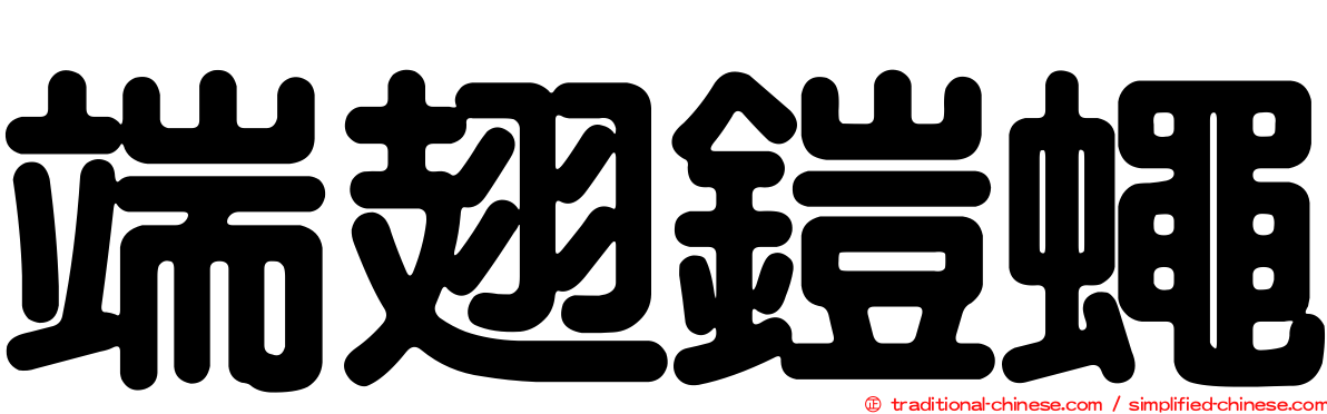 端翅鎧蠅