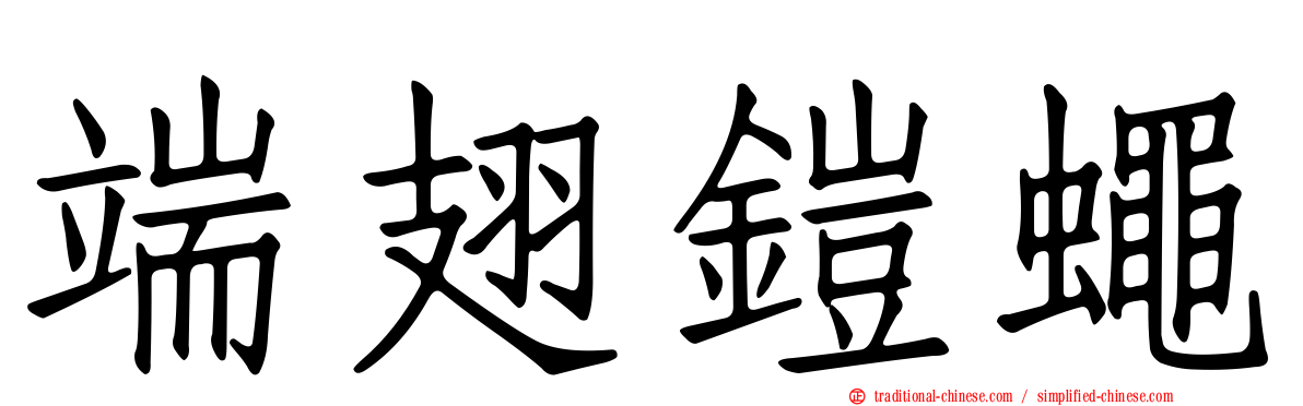 端翅鎧蠅