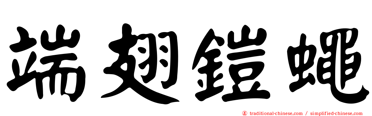 端翅鎧蠅