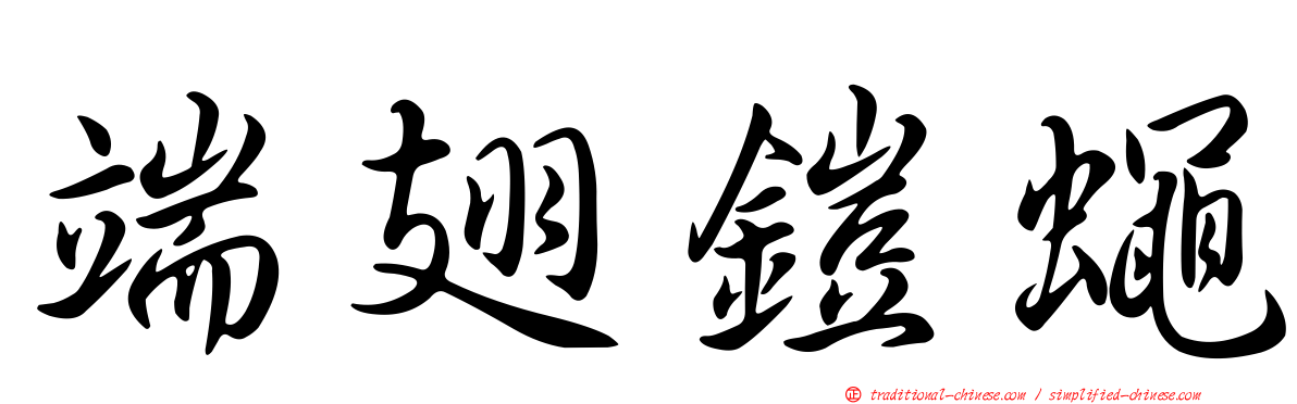 端翅鎧蠅