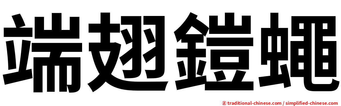 端翅鎧蠅