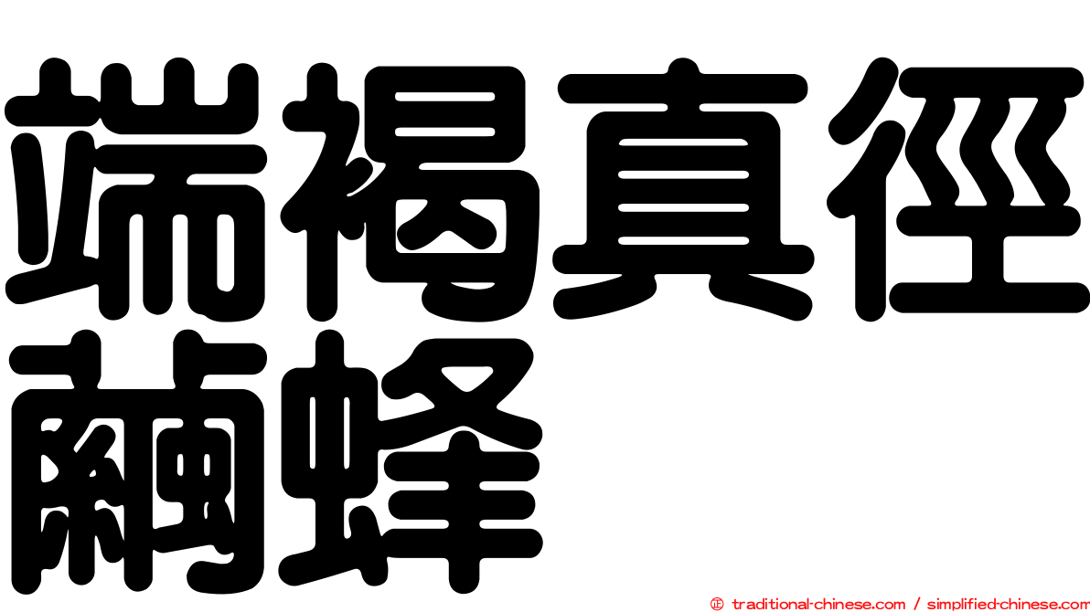 端褐真徑繭蜂