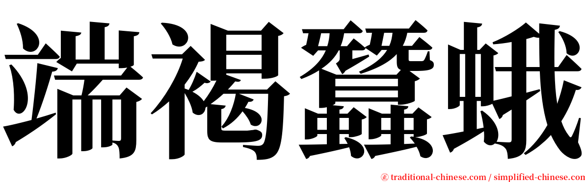 端褐蠶蛾 serif font