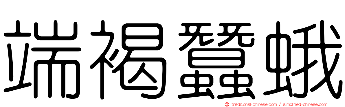 端褐蠶蛾