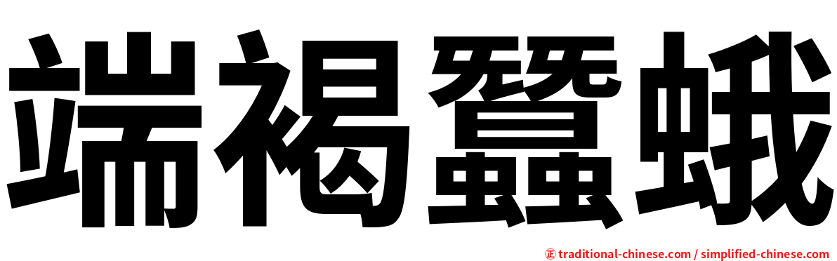端褐蠶蛾