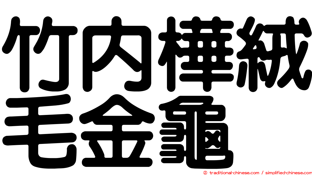 竹內樺絨毛金龜